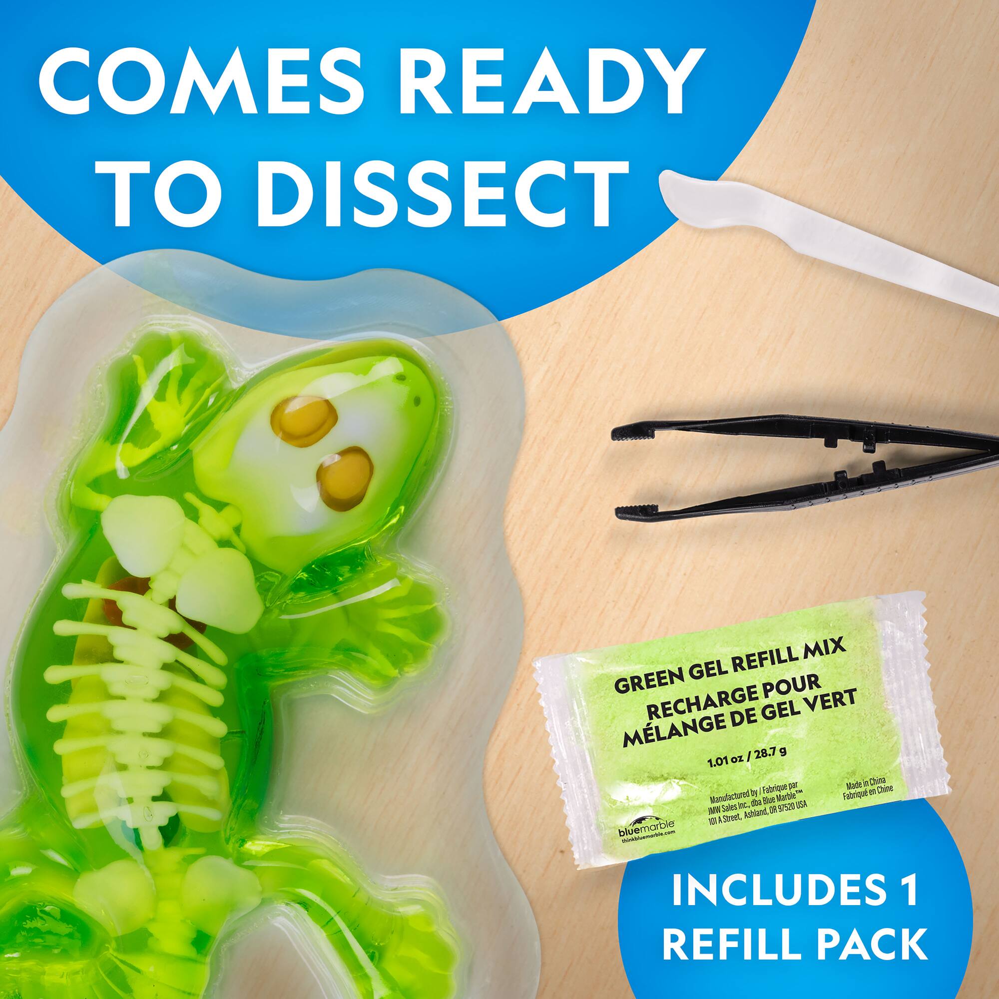 National Geographic™ Glow-in-the-Dark Gecko Dissection Lab